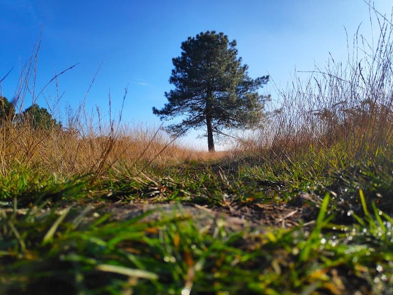 Réserve Naturelle de la Lande du Moulin, location salle à Sulniac